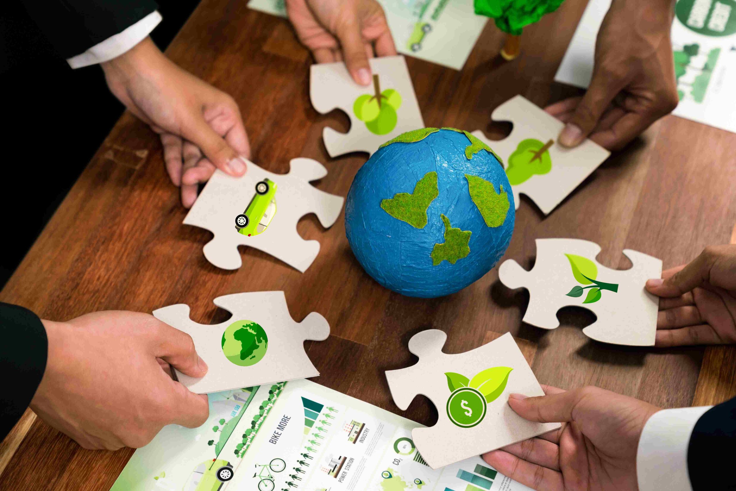 O papel dos dados oficiais na tomada de decisão empresarial